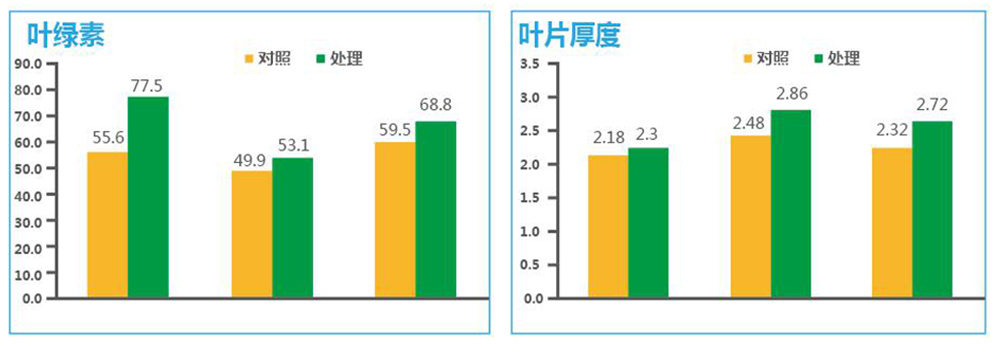 bobty体育生物“海藻+氮磷钾+腐植酸”让果树旺起来