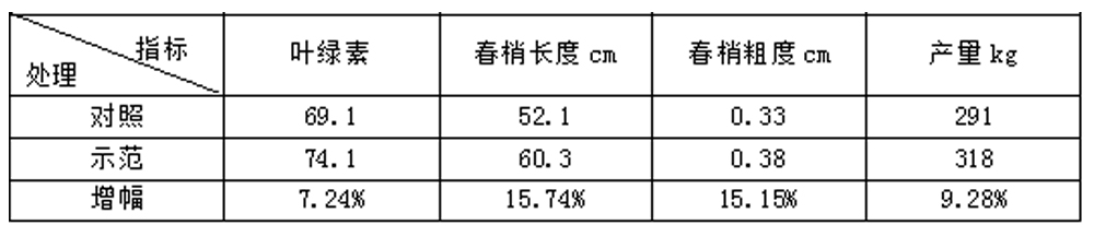 bobty体育生物“海藻+氮磷钾+腐植酸”让果树旺起来